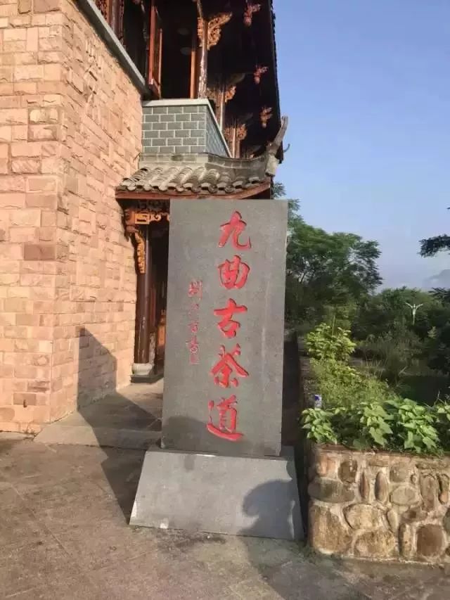 武夷岩茶大红袍讲解词,武夷岩茶大红袍基础知识