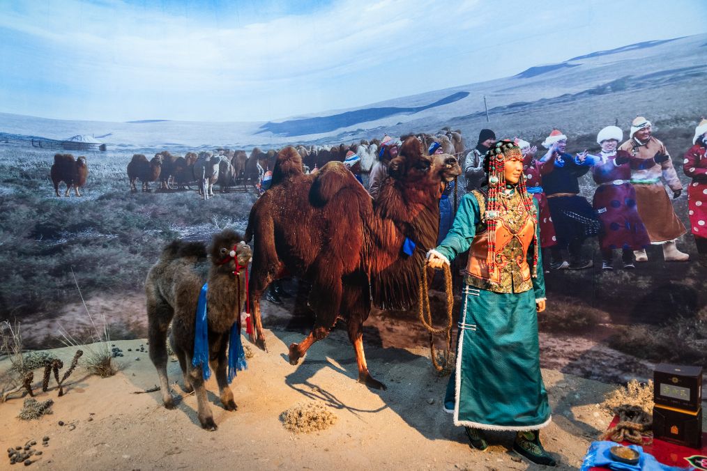 她是滔滔千里黄河的宠儿，阴山之下、河套之上的掌上明珠