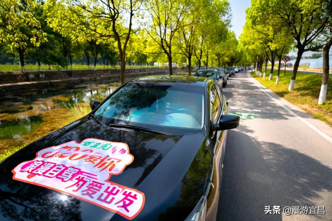 520深情的告白,520告白愿世间美好与你们环环相扣