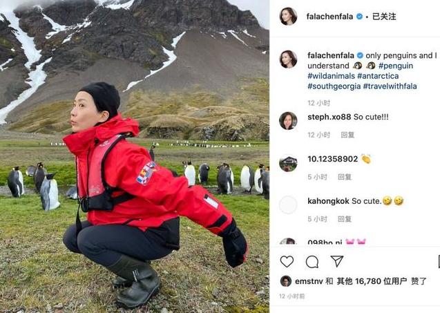 陈法拉老公薛家恒结婚了吗,陈法拉薛世恒去世