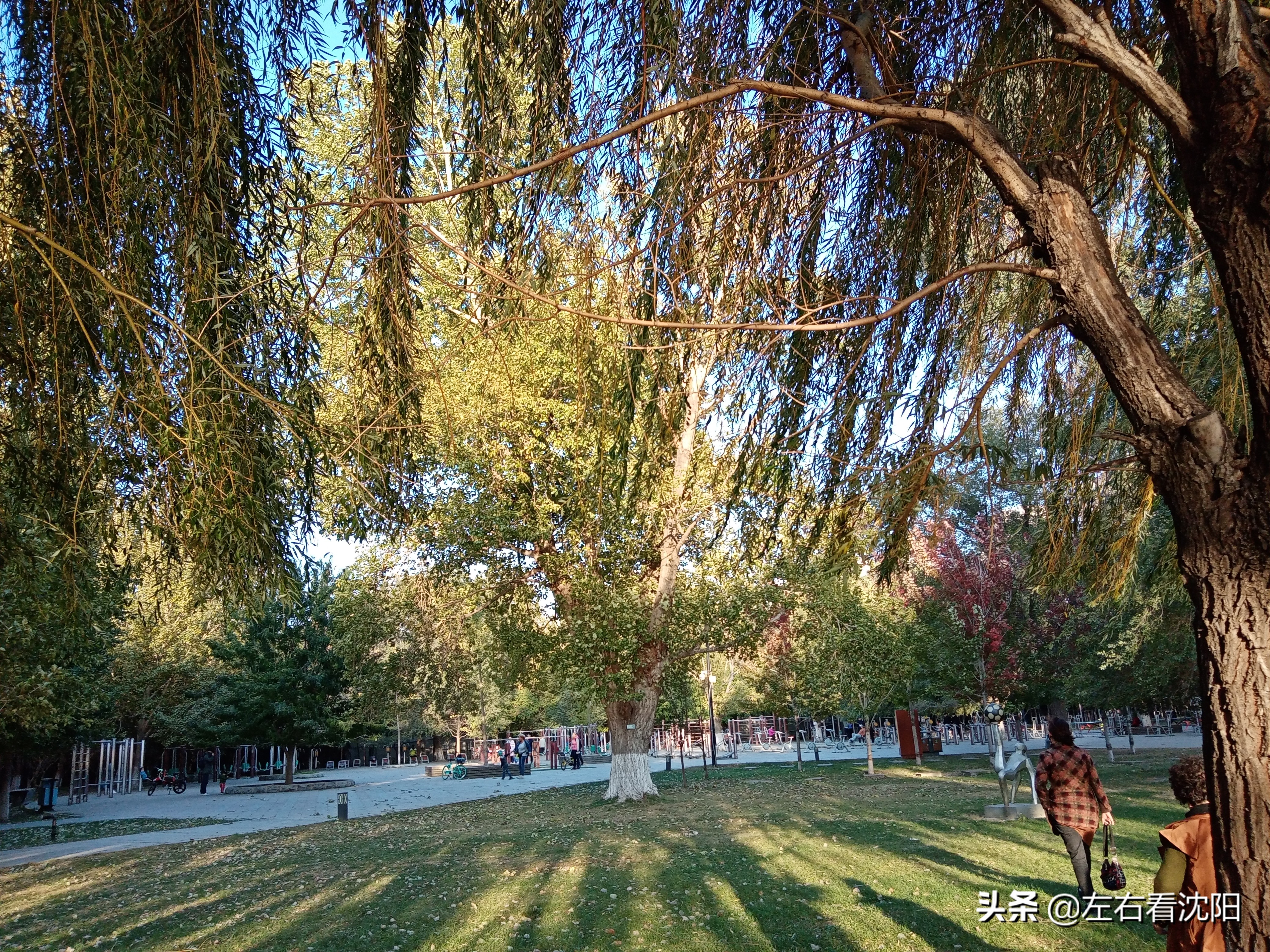 沈阳沈水湾公园看日出,沈阳浑河看海的地方