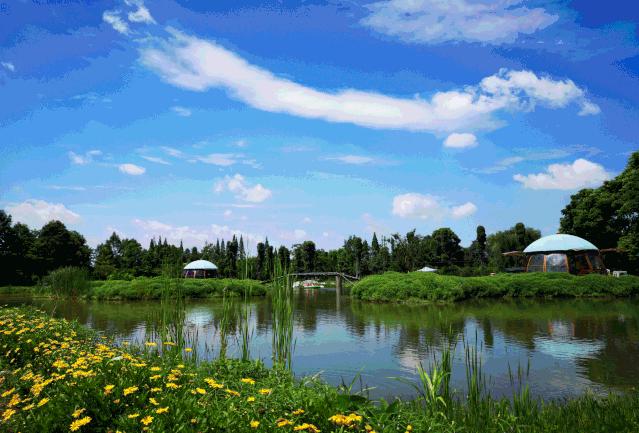 成都温江特点旅游,新旅游潮成都主题旅游目的地