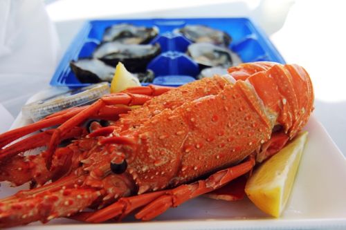 中国工厂停工会导致什么情况,中国工厂停产对各国有什么影响