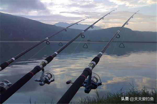 抛竿铅头钩钓鱼技巧,抛竿串钩钓鱼技巧教程