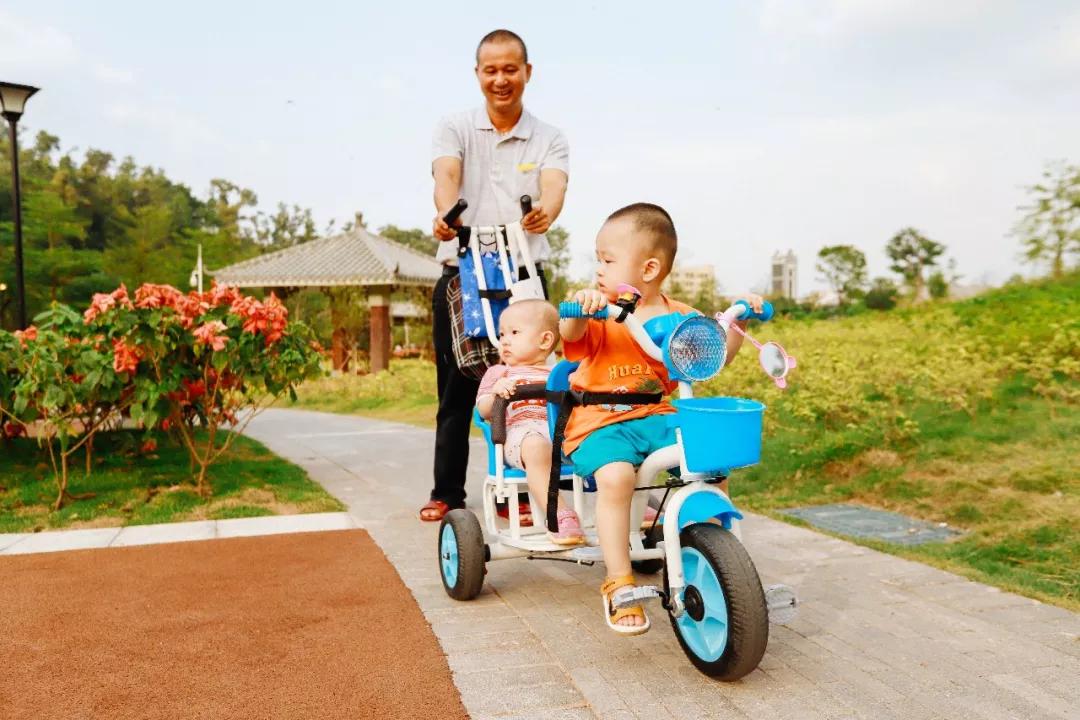 簕竹杜鹃谷公园,好看的杜鹃谷公园