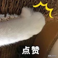 初中生升入高中必须知道的十件事,升入初中家长对孩子的寄语