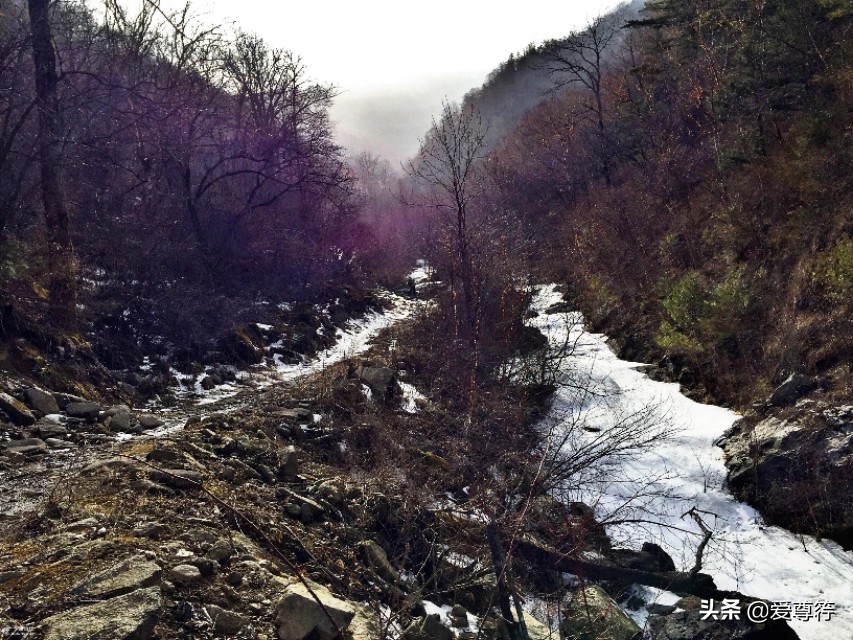 超实用的野外求生小技巧,简单实用的野外求生小技巧
