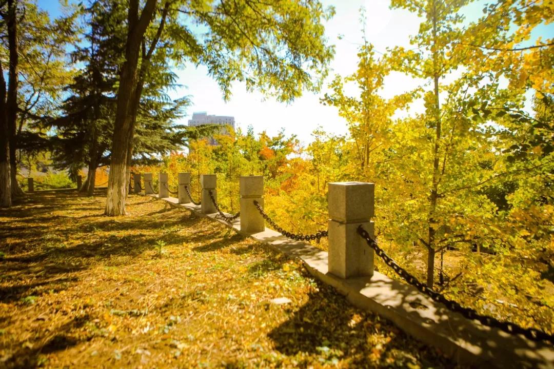 辽宁大连民办大学,大连辽宁二本大学