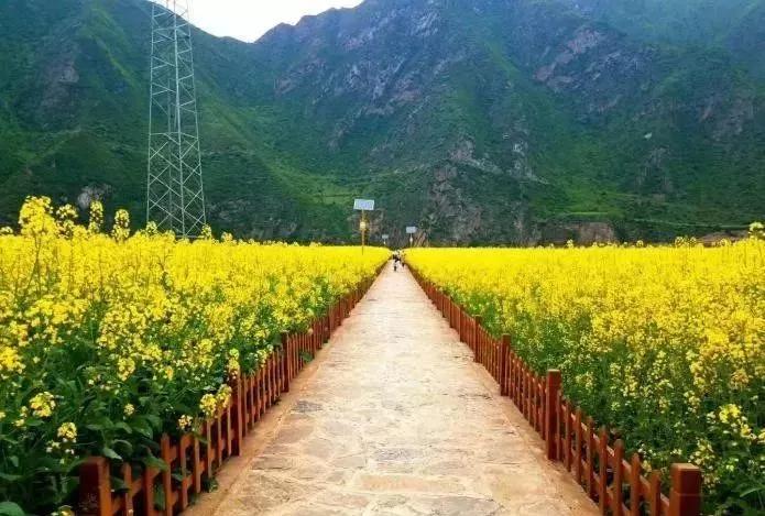 山西省晋中市美丽乡村试点村,国家级十五个美丽乡村试点县名单