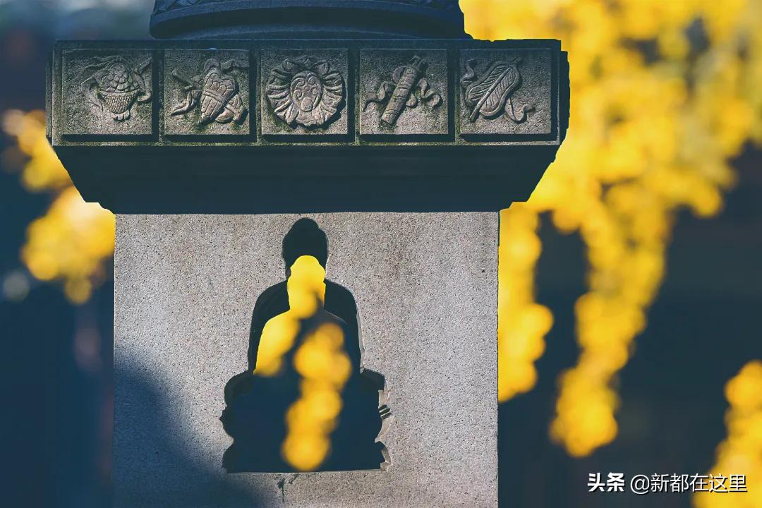 新都生活体验,来昆明感受向往的生活