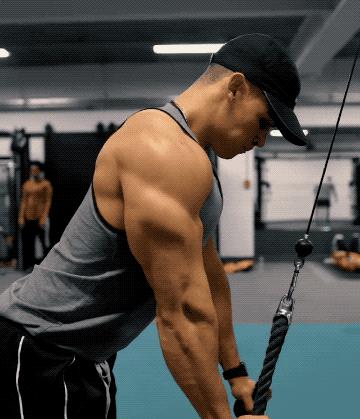 手臂臂围训练方法,增加臂围最有效的动作