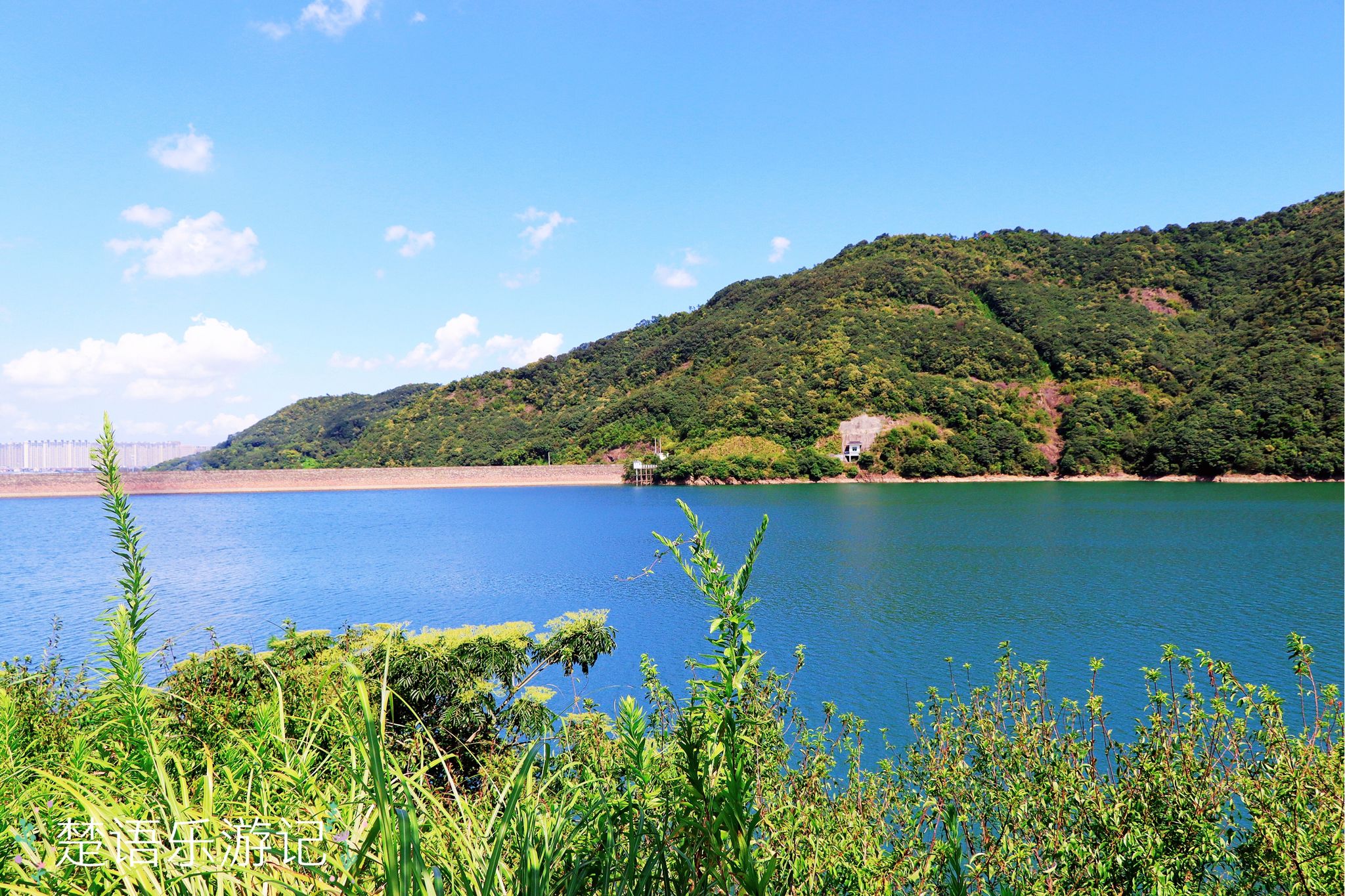 宁波必去三个景点北仑森林公园,宁波大隐森林水库