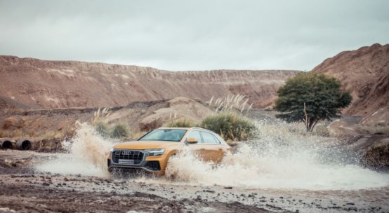 奥迪q8马克西姆,q8和马克西姆