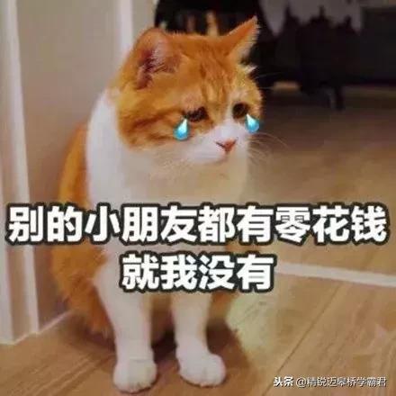 初中生一个月多少零花钱正常,初中学生一个月零花钱大概多少