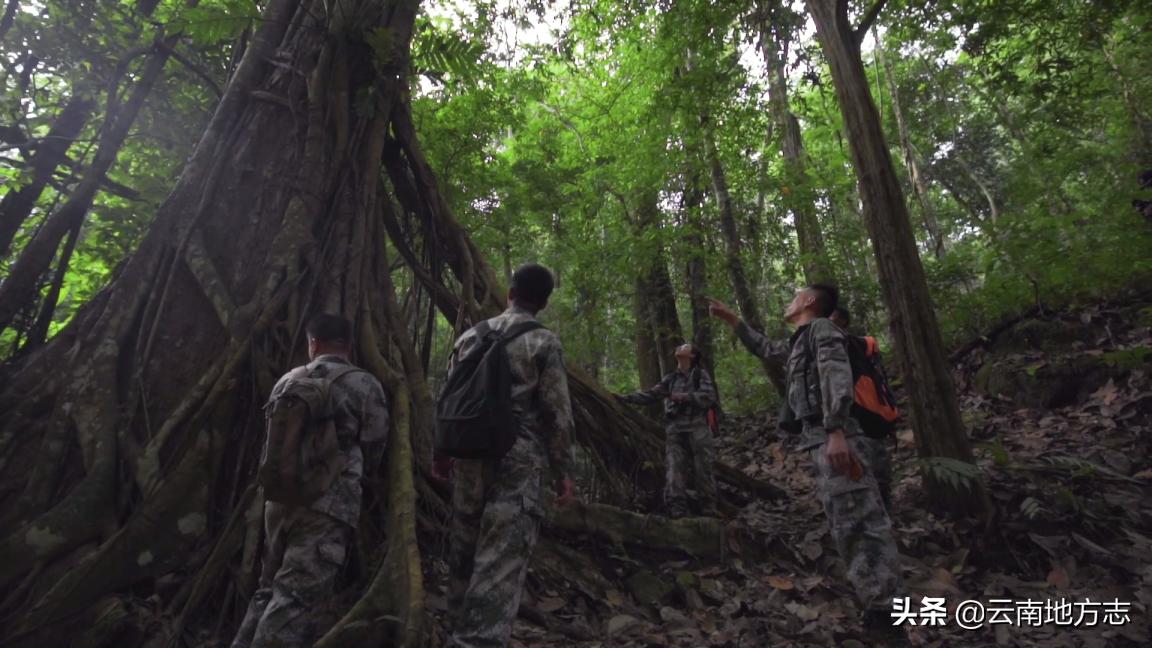 缇庡搲浜戝崡鍏ㄩ儴瑙嗛,缇庡搲浜戝崡鍓х収
