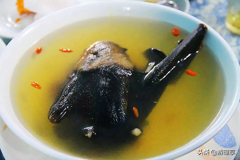 国外哪个海岛旅游可以海钓,度假海岛海钓刺激