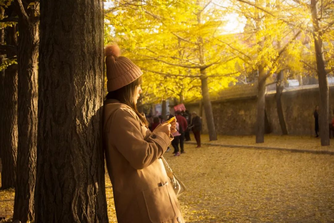 旅游三亚和厦门哪个更值得去,三亚和厦门哪一个更值得去旅游