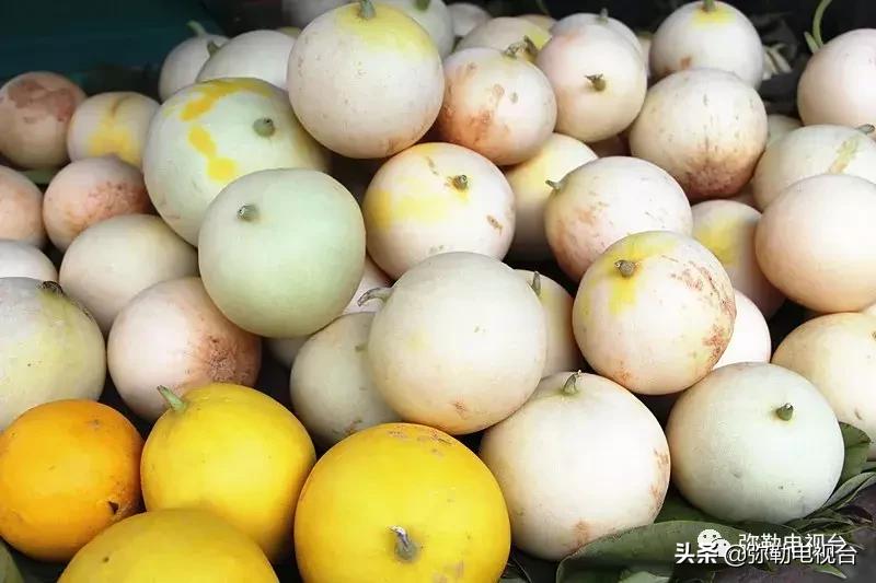 弥勒千亩西瓜熟了！黄心瓜、红心瓜、小香瓜…你喜欢哪种？
