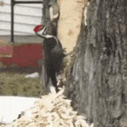 带有三个谜语的手工灯笼,灯笼的谜语简单幼儿园