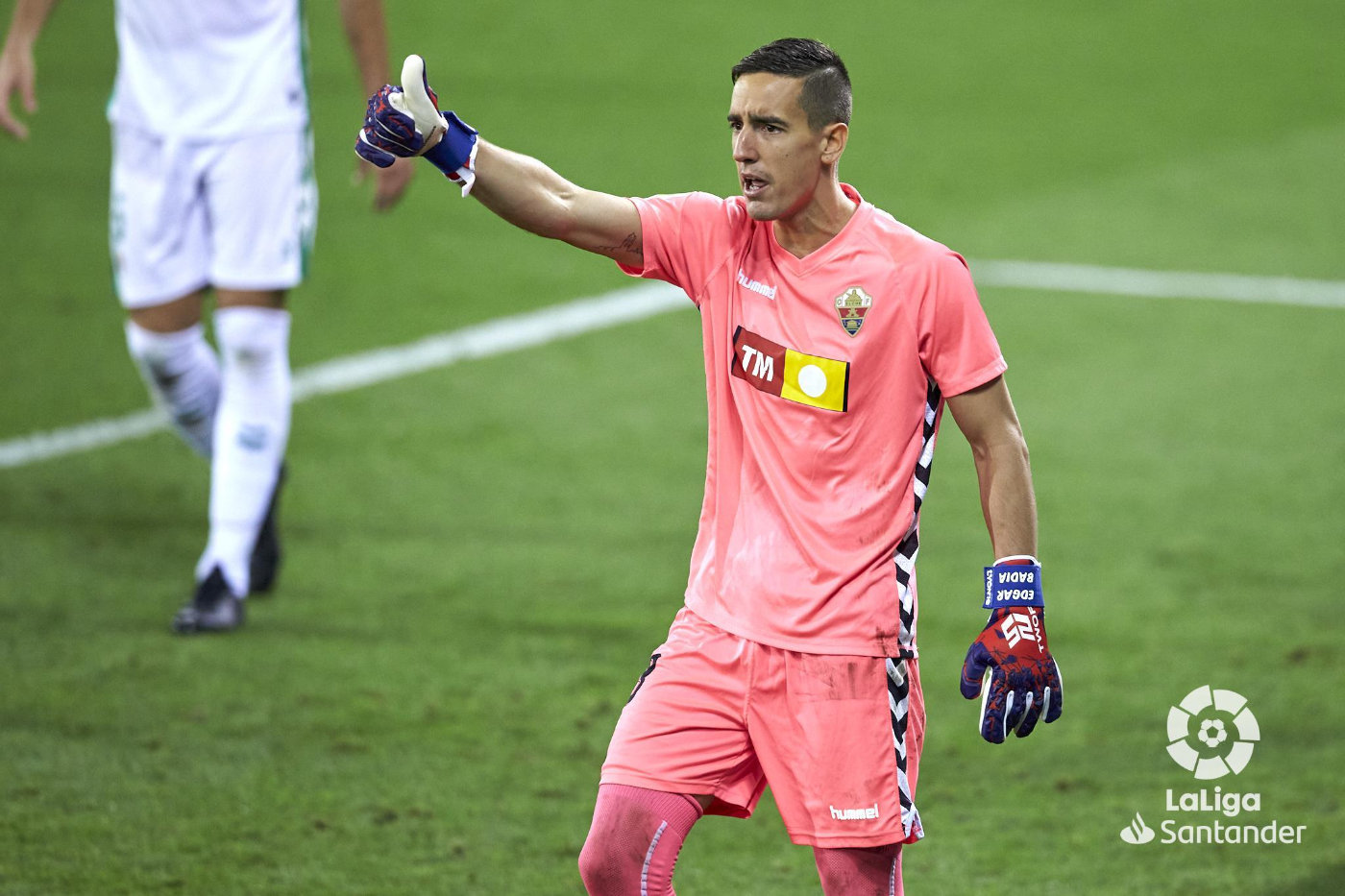 赛季最佳守门员,当前最佳门将阵容搭配表