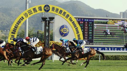 日本橄榄球亚洲第一,各国家的第一运动