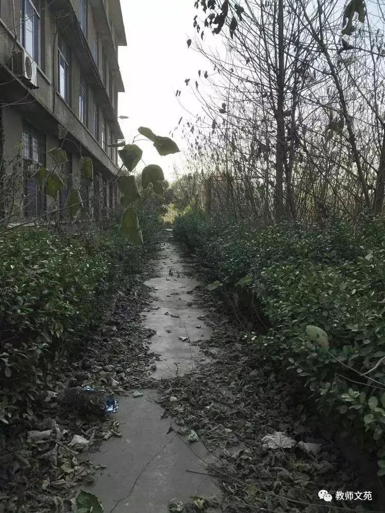 豫西师范前世今生,豫西师范回忆