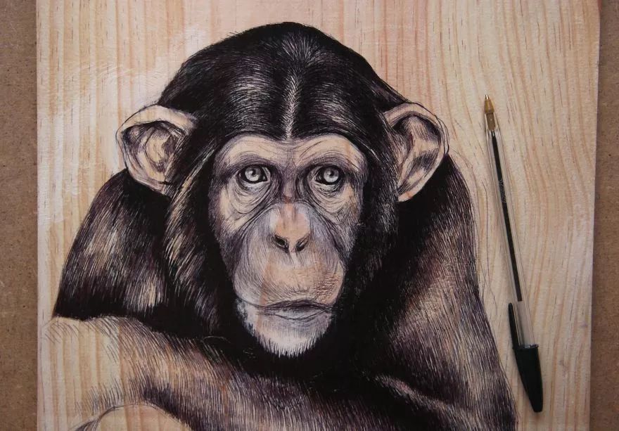 3d立体画写实彩铅,超写实彩铅手绘细腻的让人咋舌