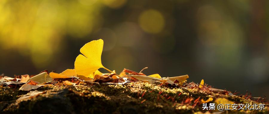 医学启源导读课程,医学启源第一课