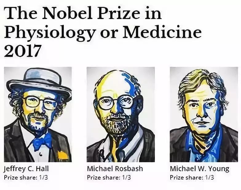 这种蝉中奇葩做了一道数学题，选择了一个让科学家想破脑袋的习性