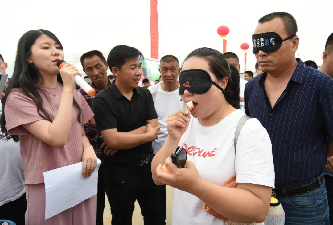 黑柳白梨脆,黑柳子白梨脆甜瓜直播