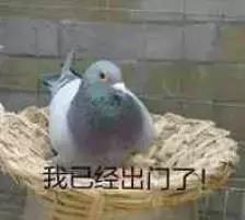 付出真心喂了狗,付出的真心就当喂了狗