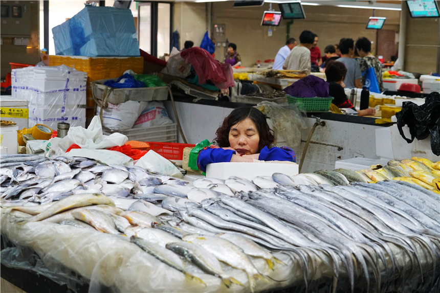 嵊泗列岛的梭子蟹很棒,浙江象山石浦码头梭子蟹