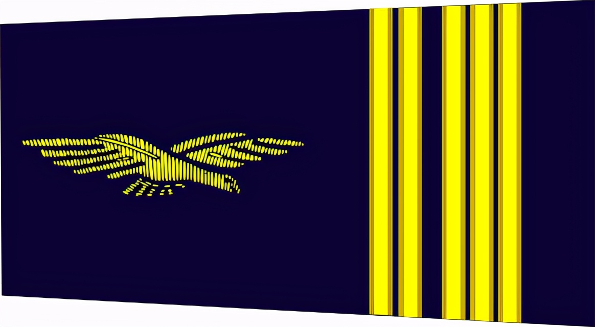 法国将军军衔等级,法国上校是什么军衔