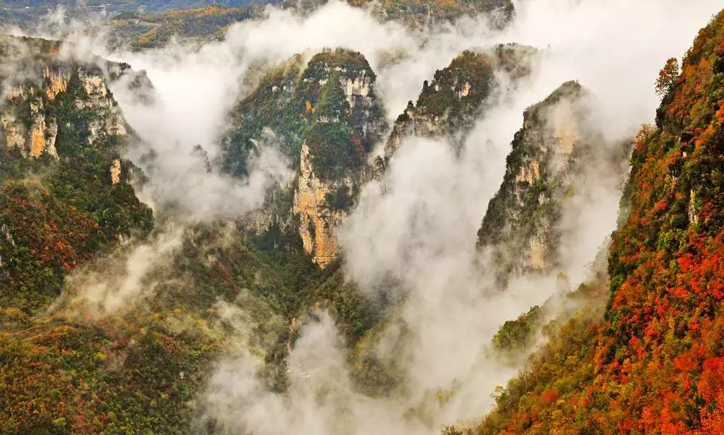 湖北深秋自驾游景点推荐,秋色彩林川西自驾