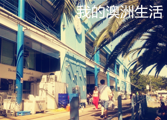 出国旅游必备英语口语餐厅篇,澳洲旅游英语口语