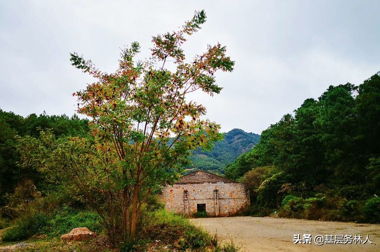 云南澄江兵工厂,云南兵工厂旧址