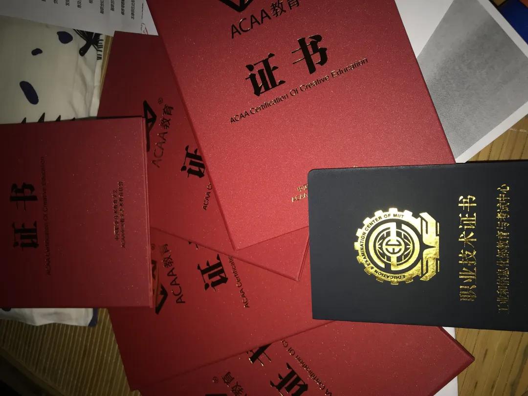 达内教育培训贷靠谱吗,参加就业培训可获补贴