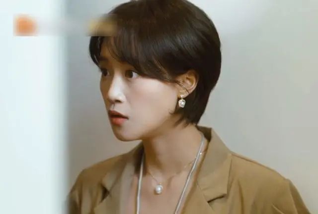 段奕宏未播新剧,段奕宏即将拍的新剧