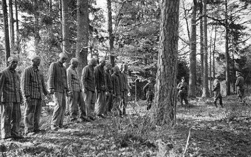 德国盖世太保的资料,德国的盖世太保是什么