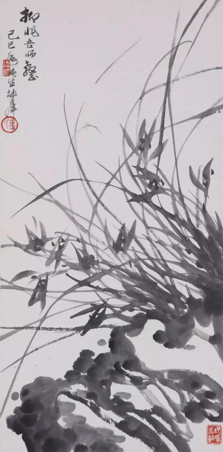 如何画兰花最好看的,君子兰花如何画