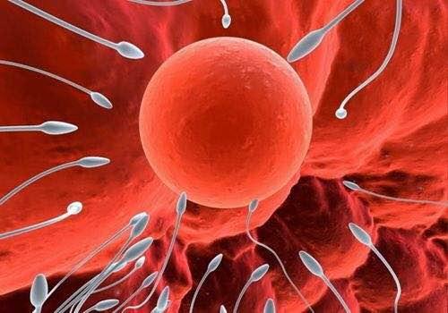 可乐杀精有科学依据吗,可乐杀精是什么意思