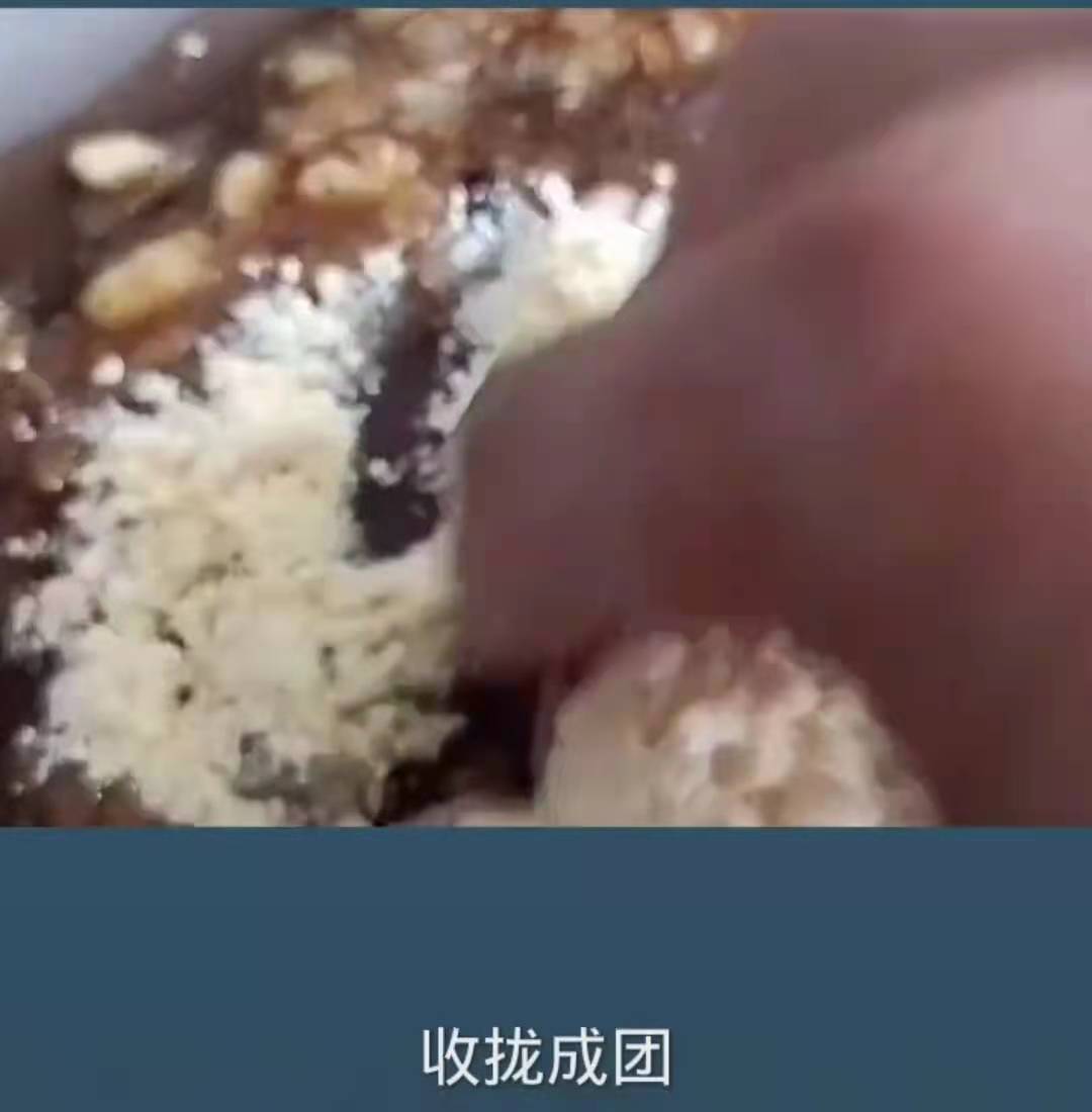 野钓巨青用什么饵料,野钓巨鲤