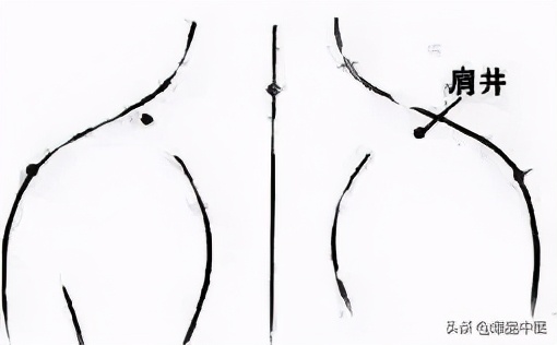 中医经络平衡介入疗法,经络是如何调节人体阴阳平衡的