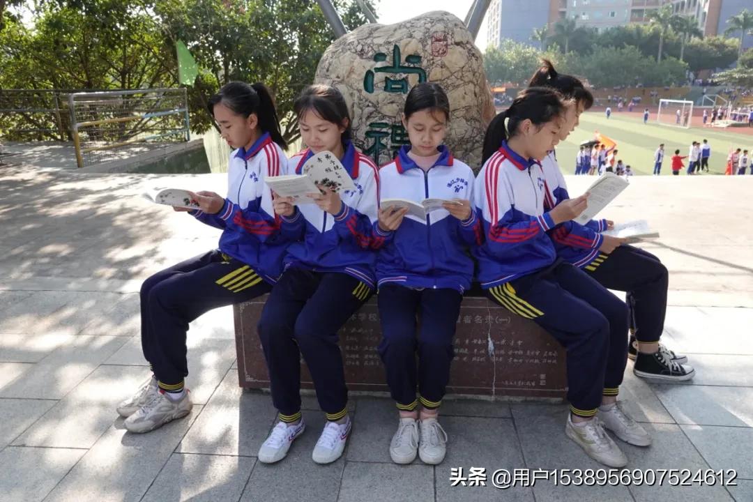 湛江少林武术学校2022招生简章,湛江市少林学校招生简章