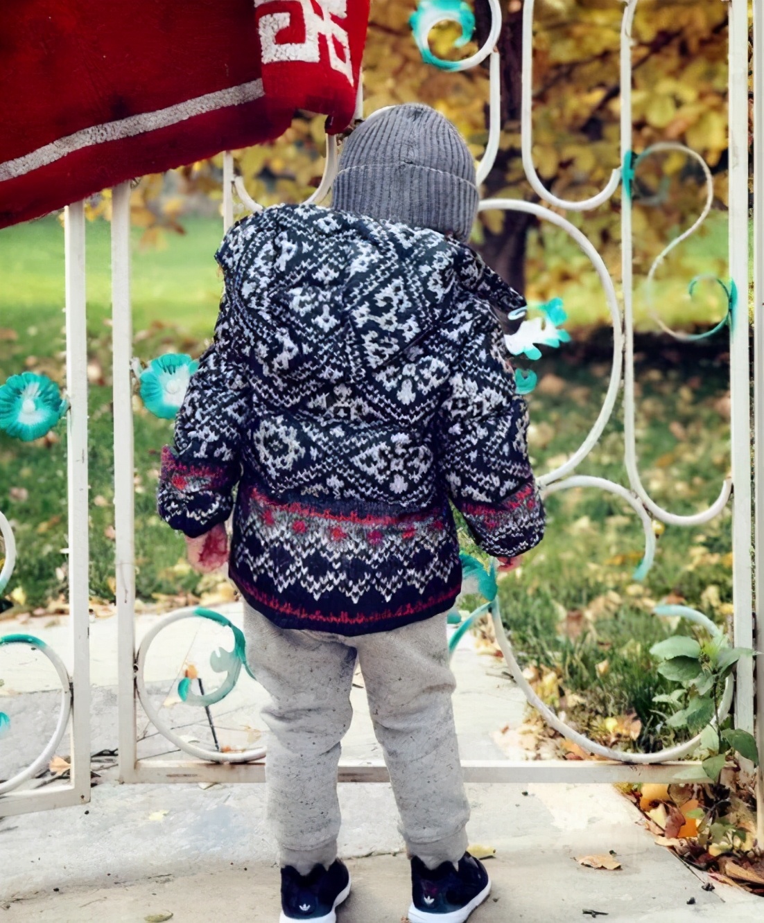 靳东老干部暖心守护,靳东老干部宠妻狂魔