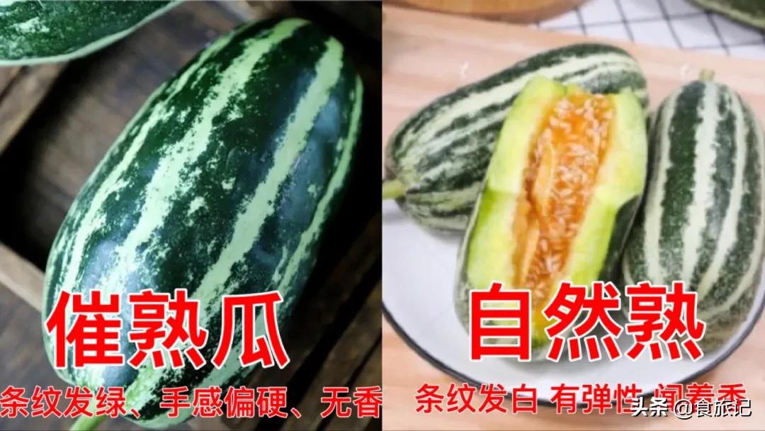 正宗博洋蜜瓜产地,黄洋蜜瓜和博洋蜜瓜区别