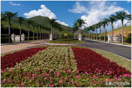 红牛中国创始人严彬,红牛严彬