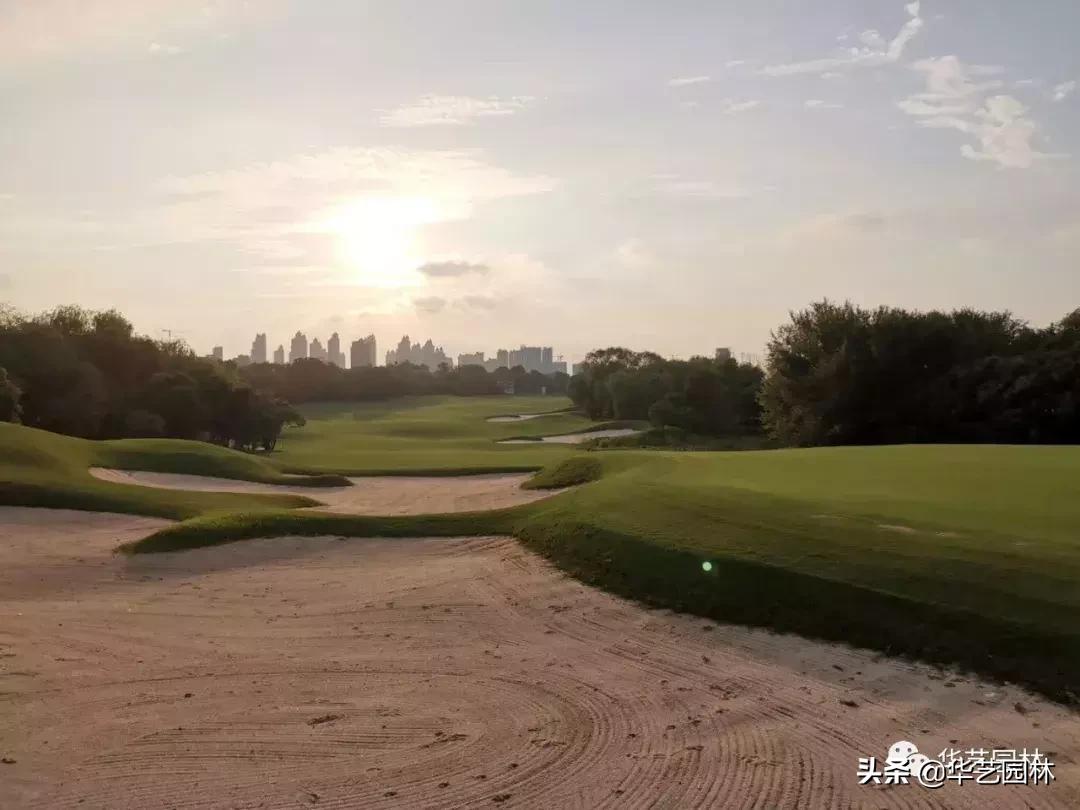 白露的诗句露从今夜白,白露至凉风起且看露从今夜白