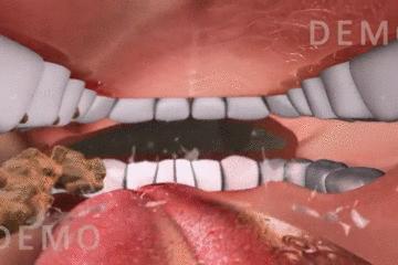 浣犵殑韬綋鍒板簳闀夸粈涔堟牱,浣犵煡閬撲綘鐨勮韩浣撻暱鍟ユ牱瀛愬悧