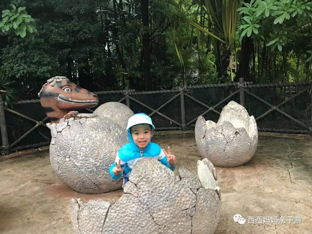 新加坡一天来回马来西亚乐高乐园,乐高马来西亚旅游记